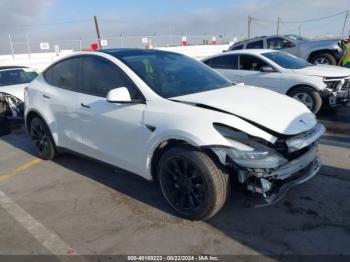  Salvage Tesla Model Y