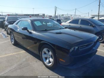  Salvage Dodge Challenger