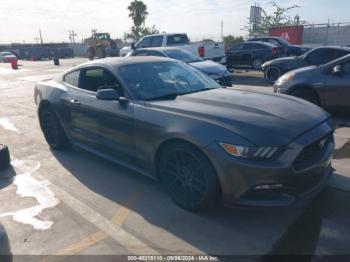  Salvage Ford Mustang