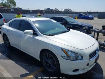  Salvage Nissan Maxima