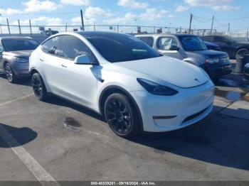  Salvage Tesla Model Y