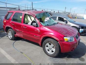  Salvage Ford Escape