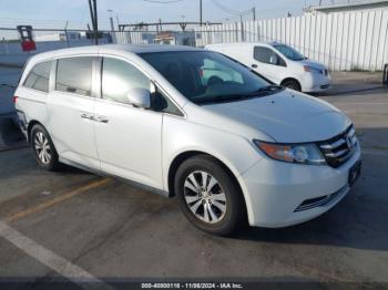  Salvage Honda Odyssey