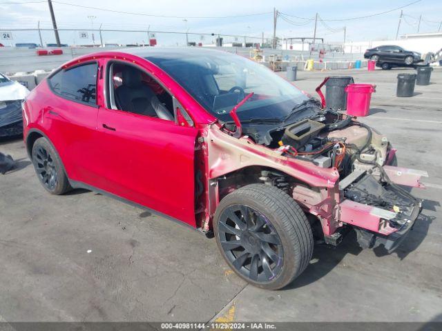  Salvage Tesla Model Y