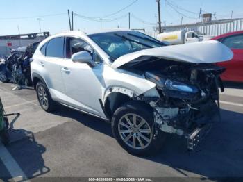  Salvage Lexus NX