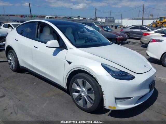  Salvage Tesla Model Y