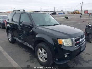  Salvage Ford Escape