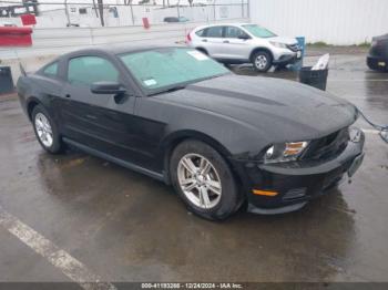  Salvage Ford Mustang