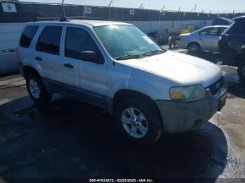  Salvage Ford Escape