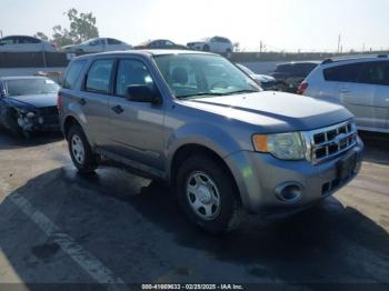  Salvage Ford Escape