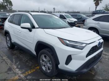  Salvage Toyota RAV4