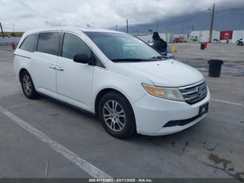  Salvage Honda Odyssey