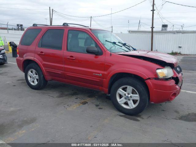  Salvage Ford Escape