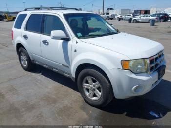  Salvage Ford Escape