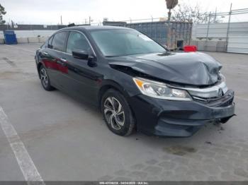  Salvage Honda Accord