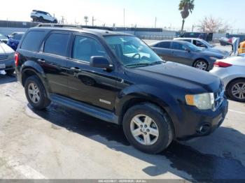  Salvage Ford Escape