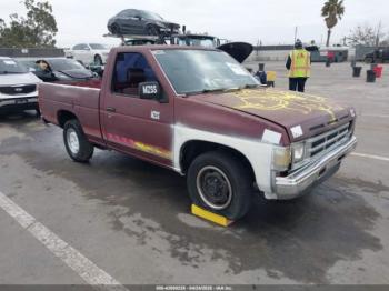  Salvage Nissan D21