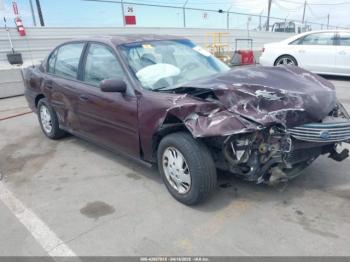  Salvage Chevrolet Malibu