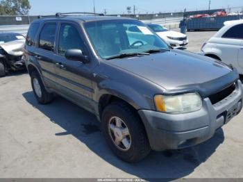 Salvage Ford Escape