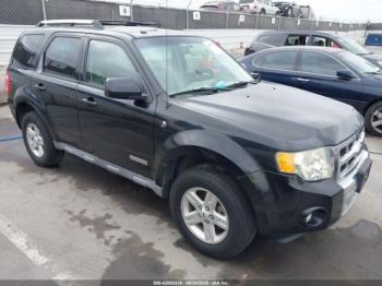  Salvage Ford Escape