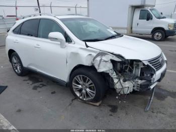  Salvage Lexus RX