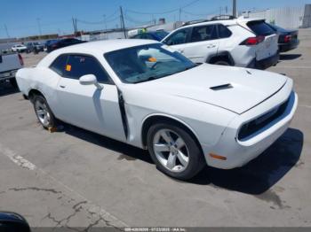  Salvage Dodge Challenger