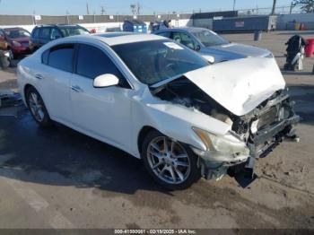  Salvage Nissan Maxima