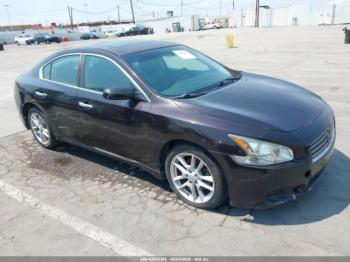  Salvage Nissan Maxima