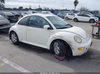  Salvage Volkswagen Beetle