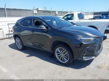  Salvage Lexus NX