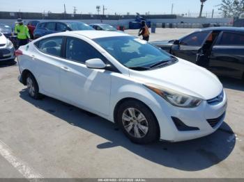  Salvage Hyundai ELANTRA