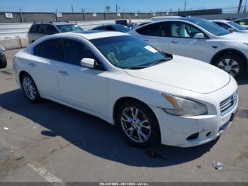  Salvage Nissan Maxima