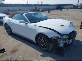  Salvage Ford Mustang