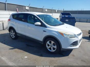  Salvage Ford Escape