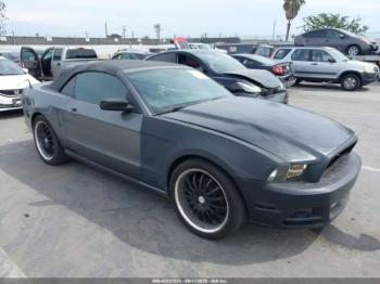  Salvage Ford Mustang