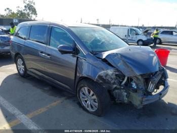  Salvage Honda Odyssey