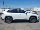 Toyota RAV4 Xle Premium Image 8