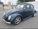 Volkswagen Beetle Image 19