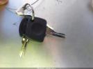 Volkswagen Beetle Image 14