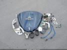 Volkswagen Beetle Image 11