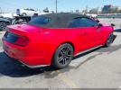 Ford Mustang Ecoboost Premium Image 6