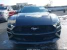 Ford Mustang Ecoboost Image 13