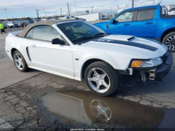  Salvage Ford Mustang