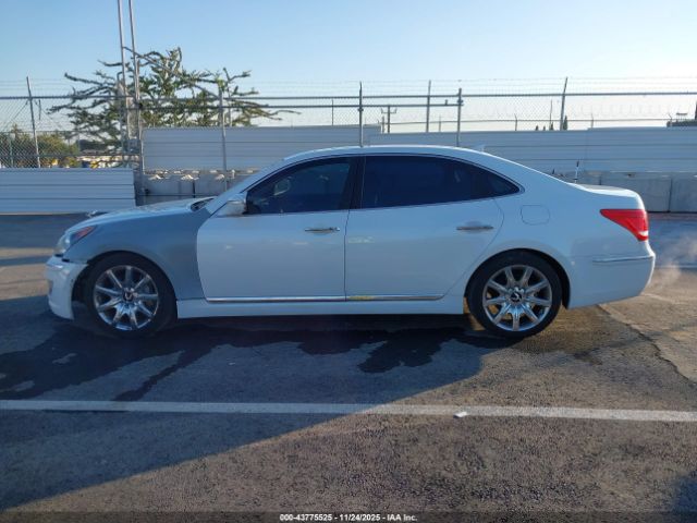 Hyundai Equus Signature Image 5