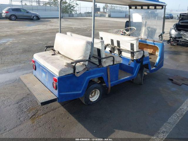 Nev Golf Cart Image 5