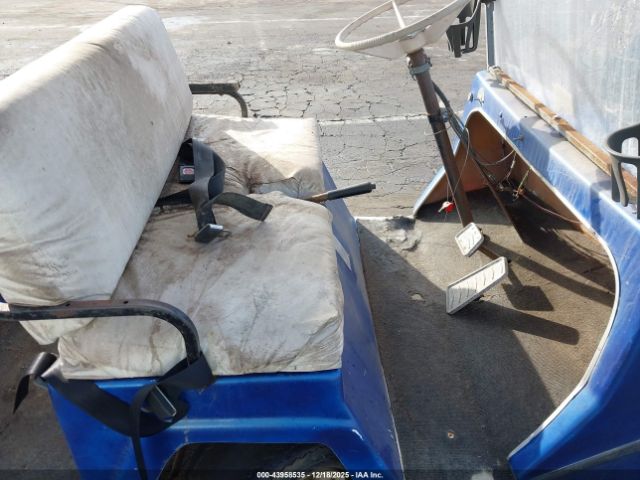 Nev Golf Cart Image 2