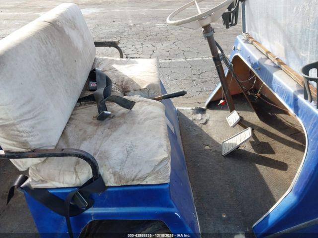 Nev Golf Cart Image 2