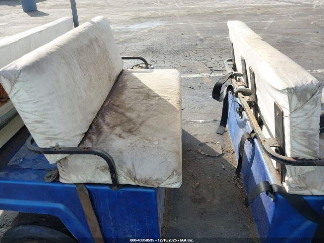 Nev Golf Cart Image 9