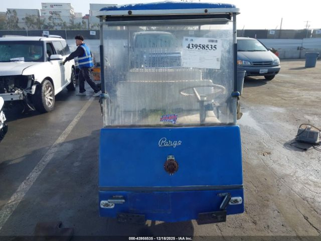 Nev Golf Cart Image 14