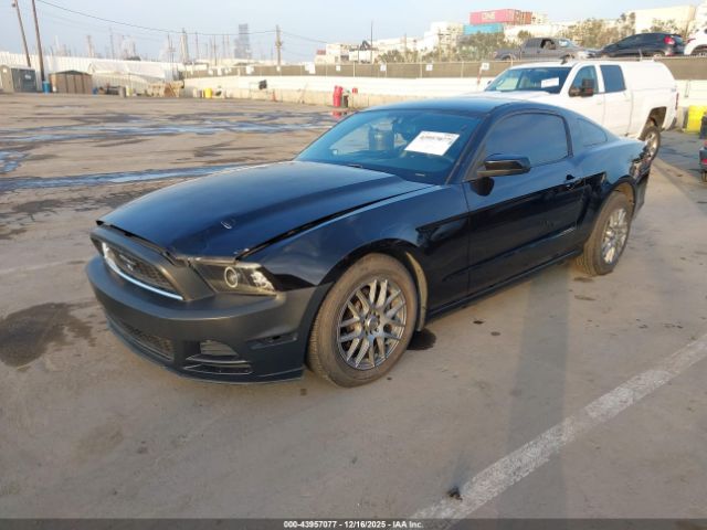 Ford Mustang V6 Premium Image 12